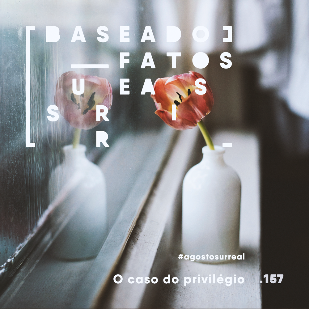 Uma flor vermelha dentro de um jarro branco, refletida na janela com as letras que compõem o nome Baseado em Fatos Surreais