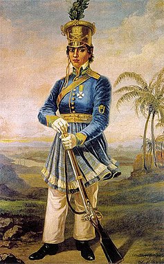 Retrato de Maria Quitéria de Jesus Medeiros, pintado em 1920 por Domenico Failutti. Nele, podemos ver Maria usando seu uniforme (militar azul, com uma saia), segurando uma espingarda, e usando seu chapéu.