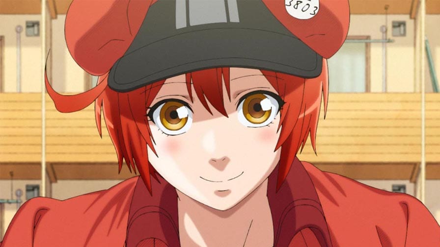 Em close, a protagonista de Cells at Work!, a Glóbulo Vermelho. É uma garota ruiva, que usa casaco vermelho por cima de uma regata preta. Usa uma boina vermelha que tem o formato de uma hemácia (um disco vermelho com as laterais côncavas), cuja parte da frente (onde tem a aba, tipo um boné) é preta. 