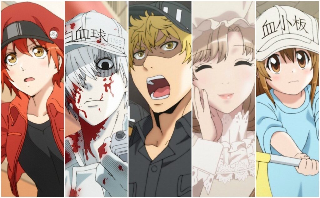 Imagens dos personagens de Cells at Work! Os personagens estão em close, mostrando seus rostos e parte do tronco. Da esquerda para a direita:
Glóbulo Vermelho, Glóbulo Branco, Célula T Citotóxica, Macrófago, Plaqueta