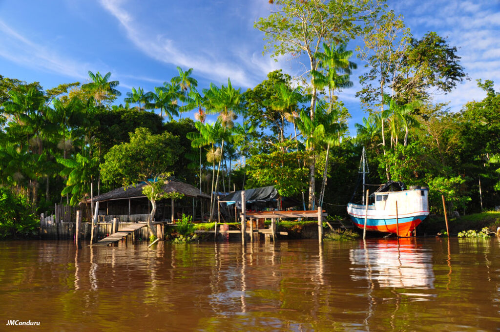 Imagem da Ilha do Combu (in MaraMinas 007 - Viajando Sozinha, talvez não)