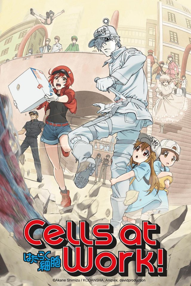 Poster de Cells at Work! vemos em primeiro plano, O Glóbulo Branco de costas, olhando para trás c com faca na mão. Uma das Plaquetinhas está agarrada em sua perna. A Glóbulo Vermelho está correndo na direção deles, com uma caixa de O2 em mãos. Na direita no fundo, vemos a Macrófago descendo escadas correndo sorridente, segurando seu vestido, e atrás (à esquerda) da Glóbulo vermelho, vemos a T Citotóxica. Ao fundo, numa passarela suspensa, vemos algumas células (como a T Auxiliar, a Dendrítica, e várias hemácias) estão observando. E a célula NK está pulando de costas na direção dos glóbulos Vermelho e Branco