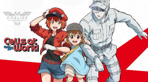 Na esquerda da imagem, está escrito (em Japonês) Harataku Saibou, e do lado Cells at Work!. No centro/direita da imagem, vemos a Glóbulo Vermelho, o Glóbulo Branco, e uma Plaqueta se pendurando no braço dos dois. A Glóbulo Vermelho está correndo e segurando seu chápeu. Ela usa um casaco vermelho que vai até o antebraço, uma boina vermelha representando uma hemácia, regata preta por baixo do casaco, e short jeans azul. A Plaqueta usa um camisão azul claro, um short cor de caqui (bege claro), e um boné de mesma cor. O Glóbulo Branco usa um traje militar todo branco, com bolsos na altura dos peitos, e cintos que prendem facas nas pernas. Ele tem as roupas, os cabelos e a pele da cor branca. 